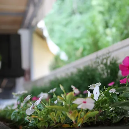 Luna Ξενοδοχείο 4*